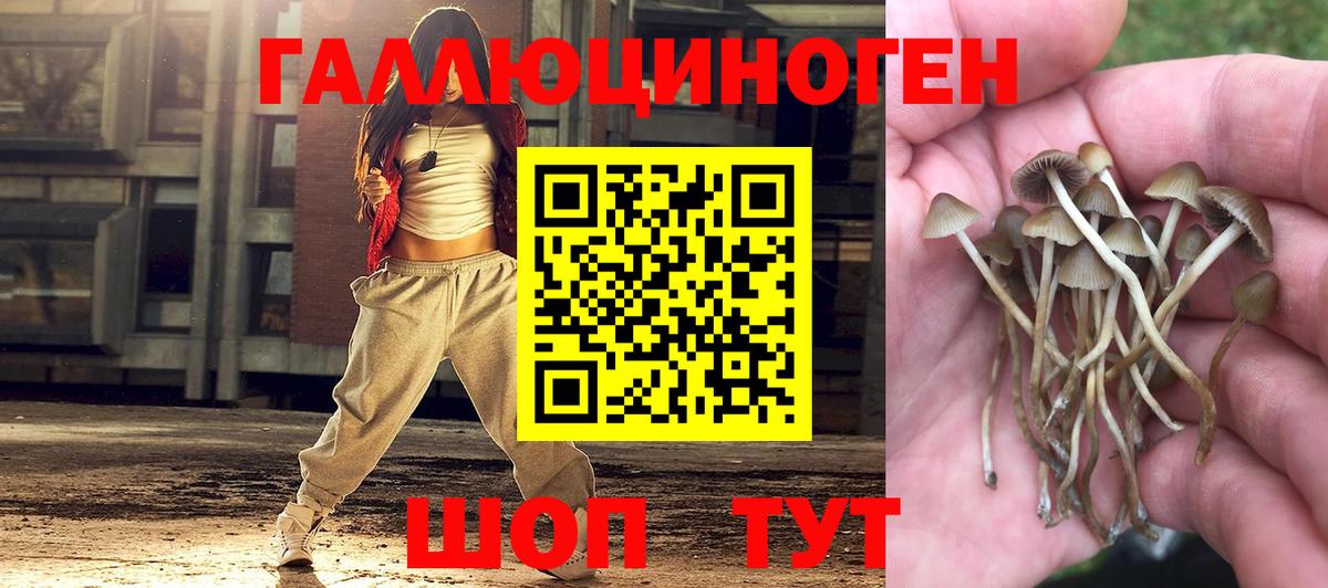 купить наркотики сайты  Вход с VPN  Новотроицк  Галлюциногенные грибы GOLDEN TEACHER 